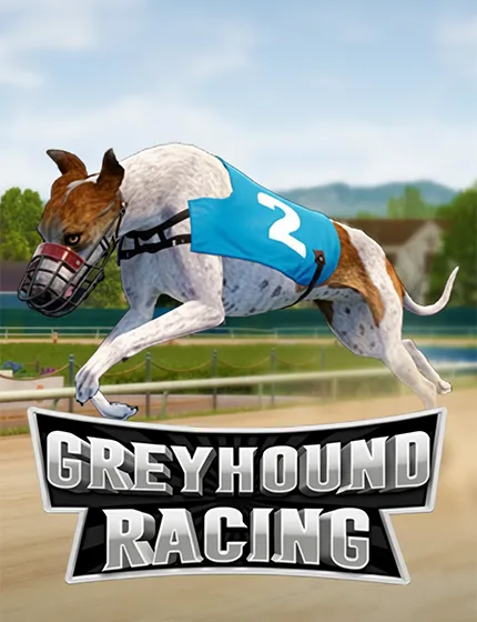 Greyhound Racing VirtualSportbook