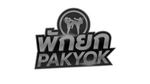 ค่ายเกมพันธมิตร pakyok Spinix282